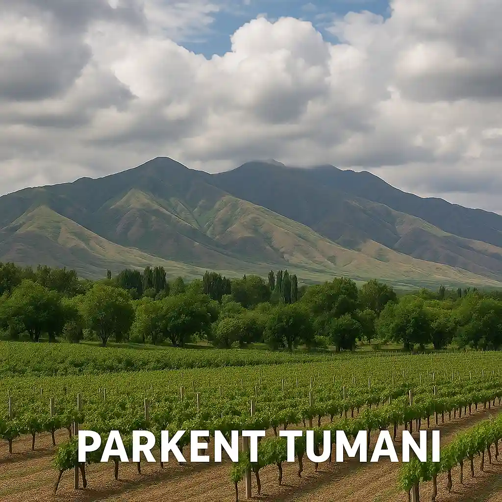 parkent tumani ob-havo ikon